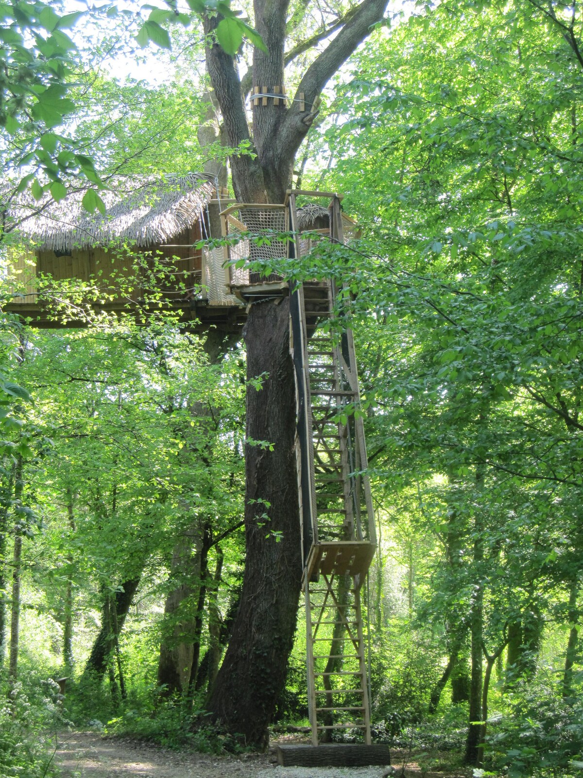 CABANE DANS LES ARBRES A PONT 2 SINGE DES GORILLES