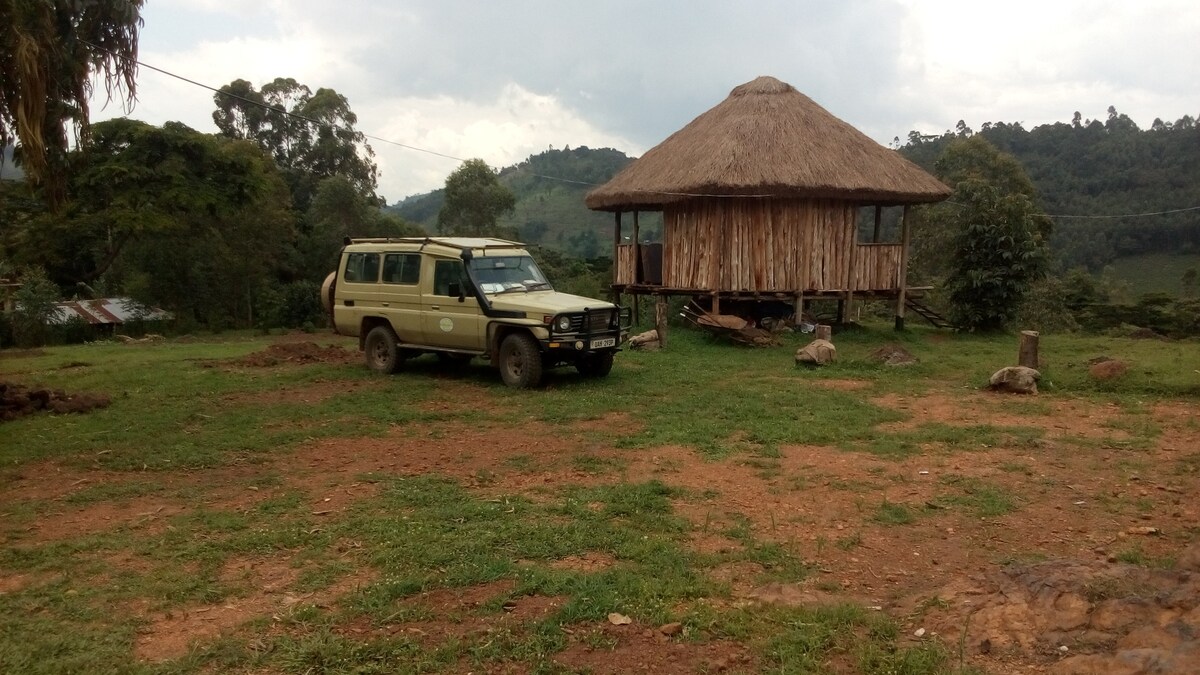 Bwindi nature view campsite