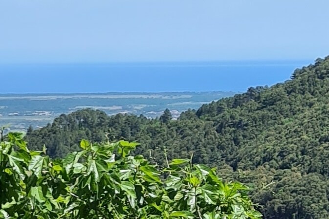 迷人的T2海景和美景