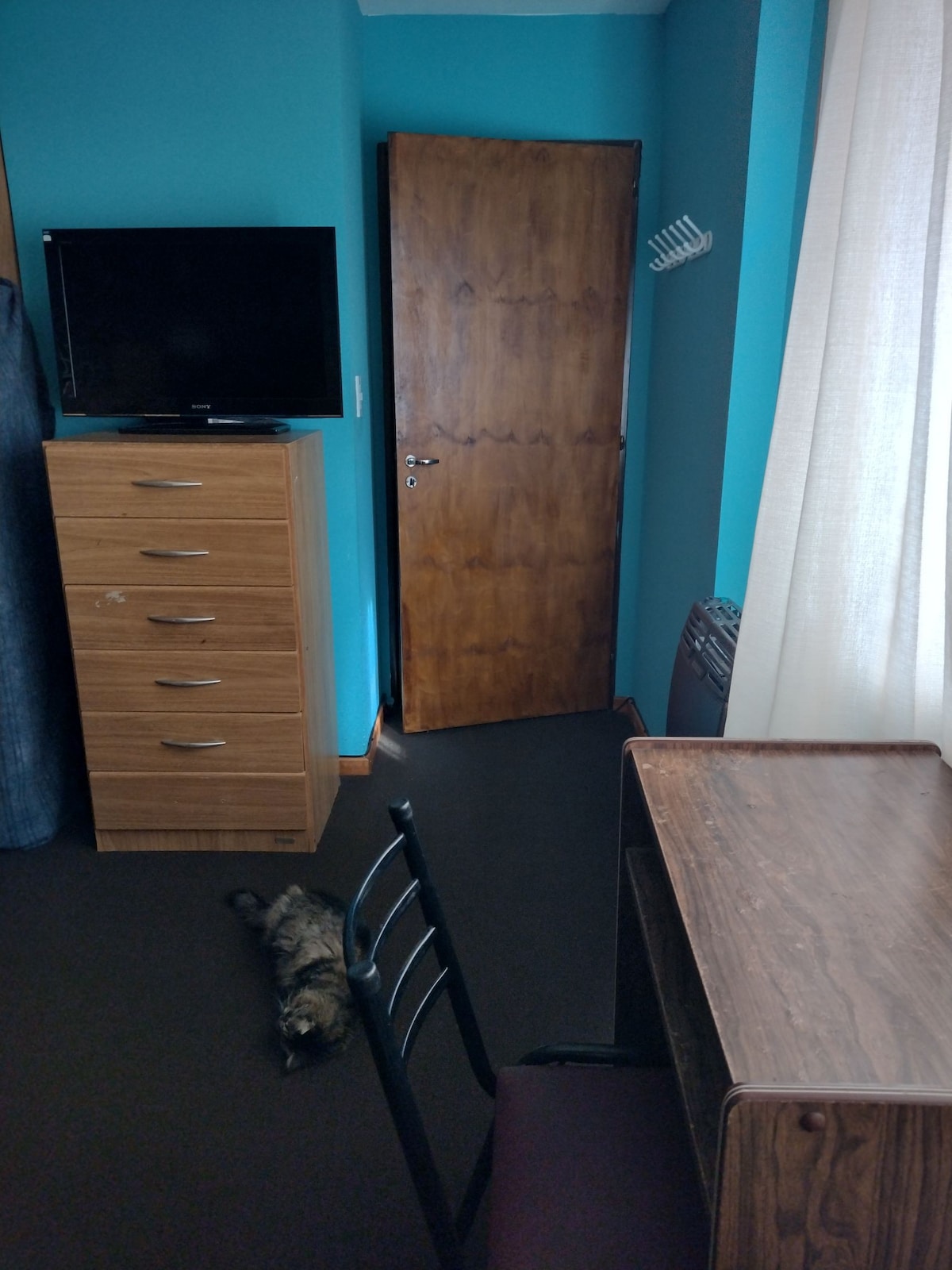 乌苏亚（ Ushuaia ）私人公寓中的房间
