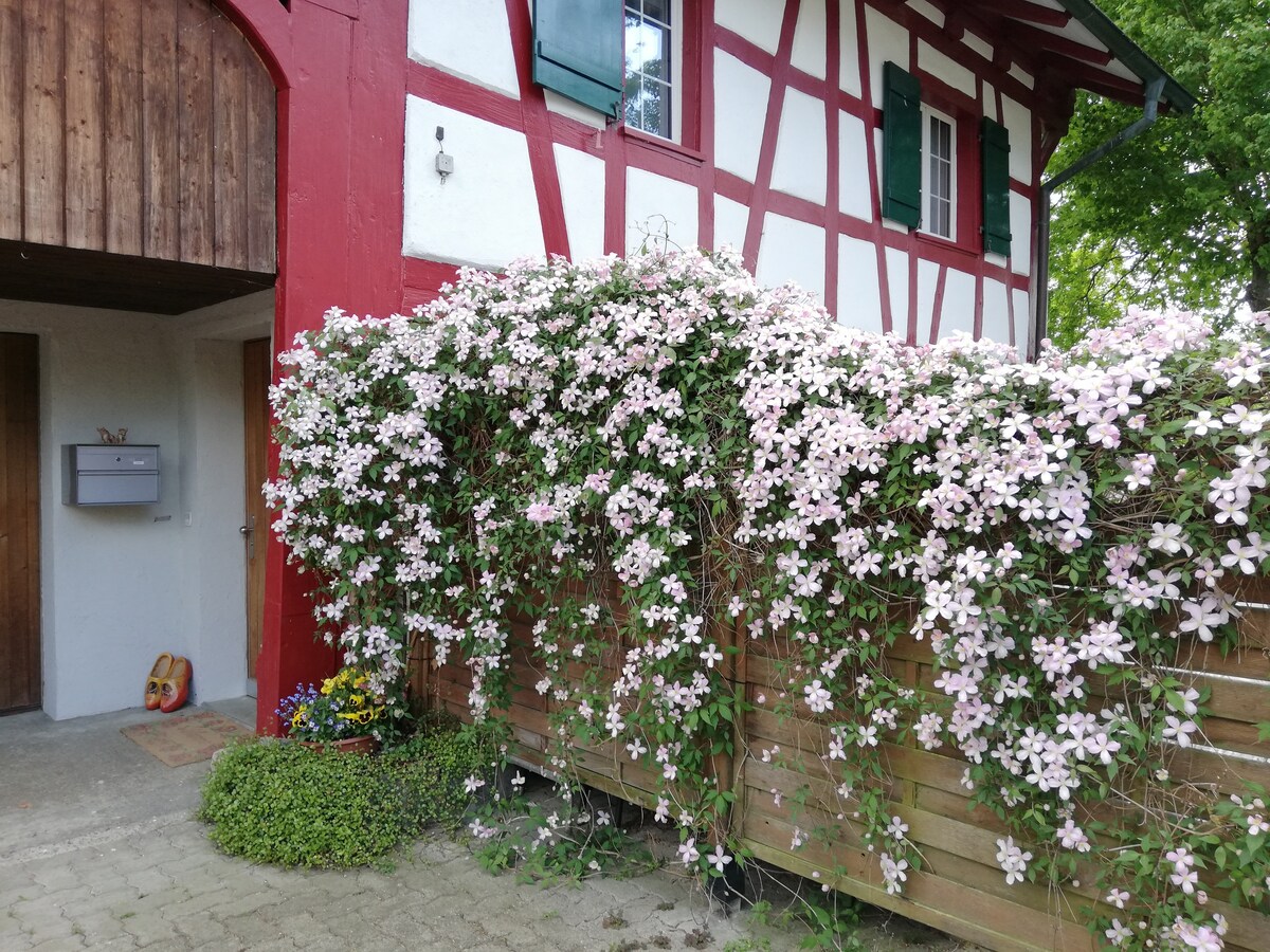 Privatzimmer beim Rheinfall mit Dusche und WC