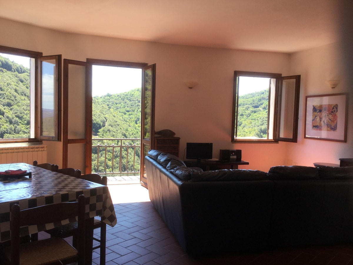 Bright apartment in Sassetta with amazing views