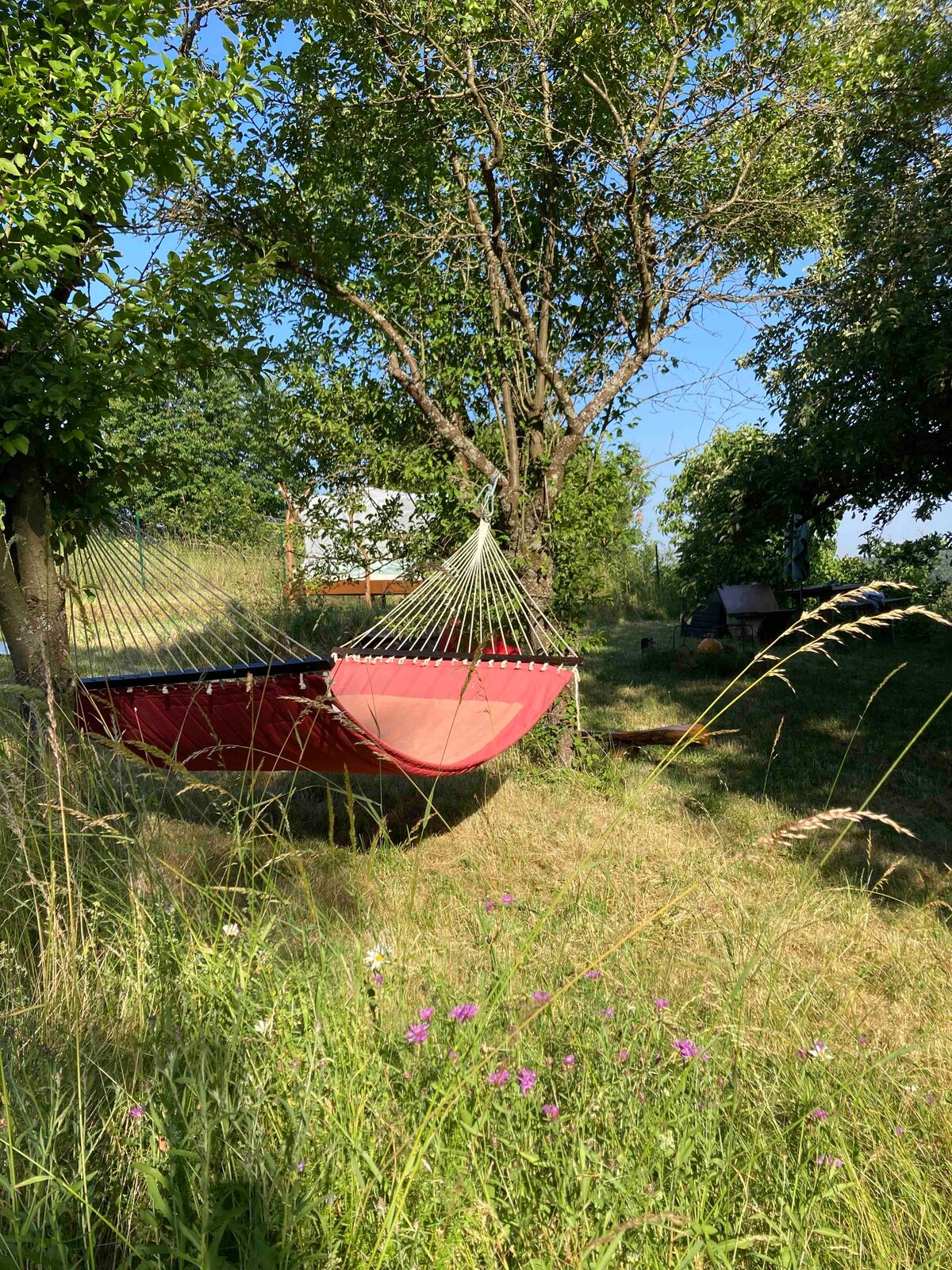 Wildromantische Nacht im Himmelbett und Baumhaus