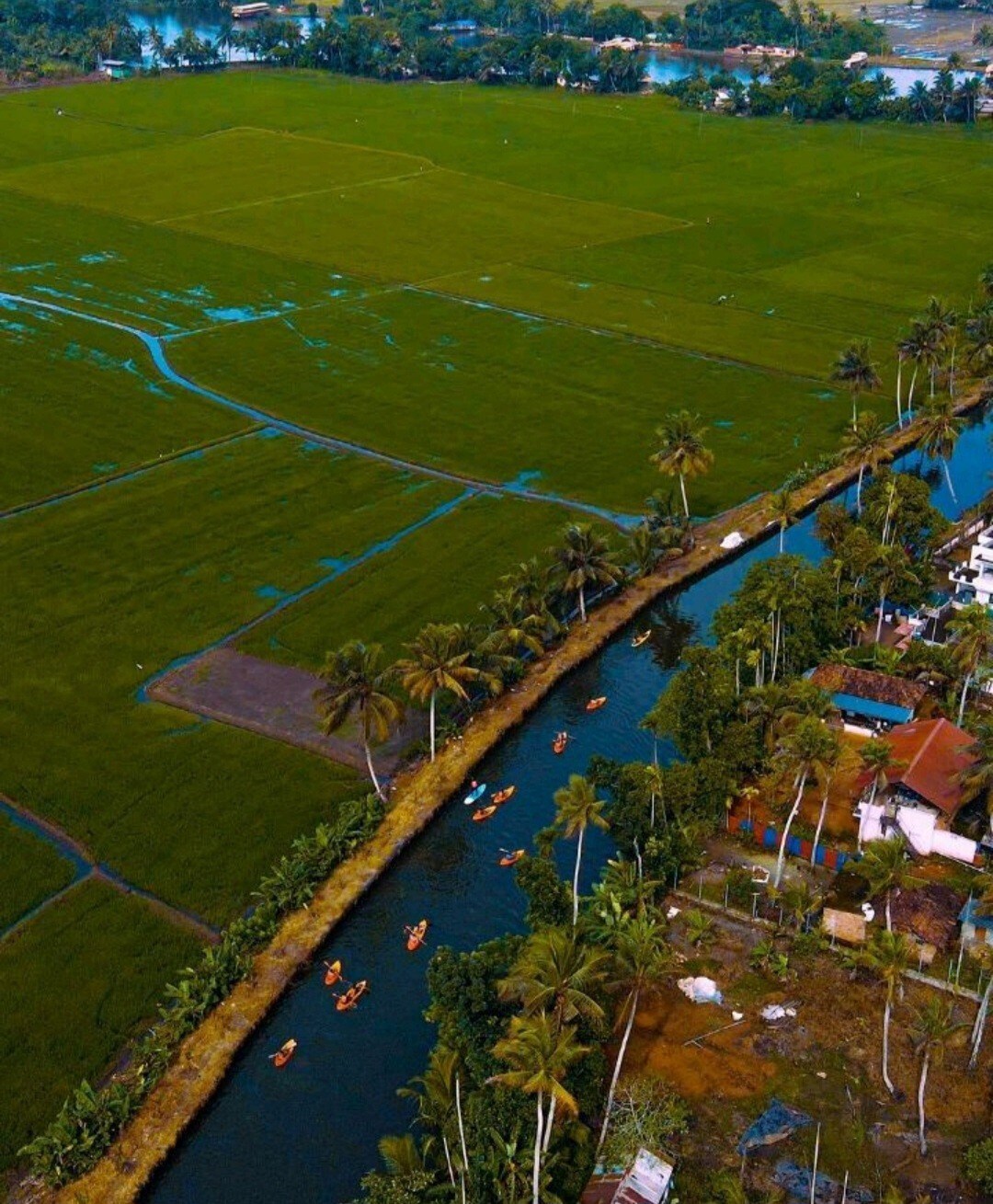 PMC度假村湖景岛（ Lakeview Island By PMC Resort ） ： Alleppey