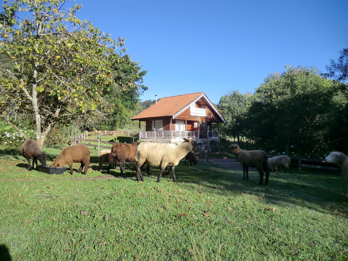 Morro do Sol度假木屋- Gramado （小屋）