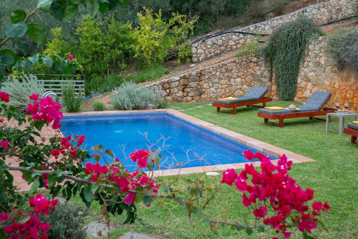 Physis Villas Chania |/Thalia |泳池和生物花园