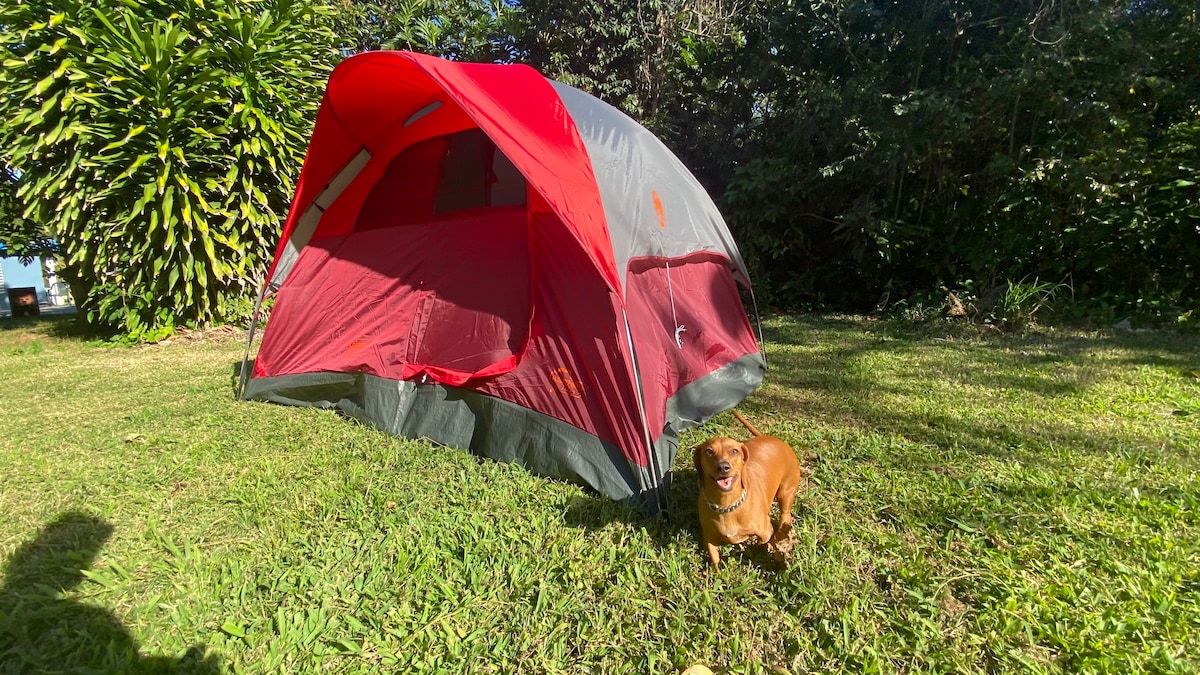 Casita del Campo (Tent 8 min. from Crash Boat)