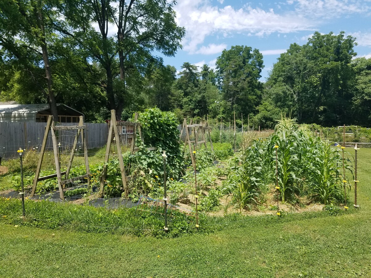 Backyard Garden Tiny Cottage at Oliver Hollar.