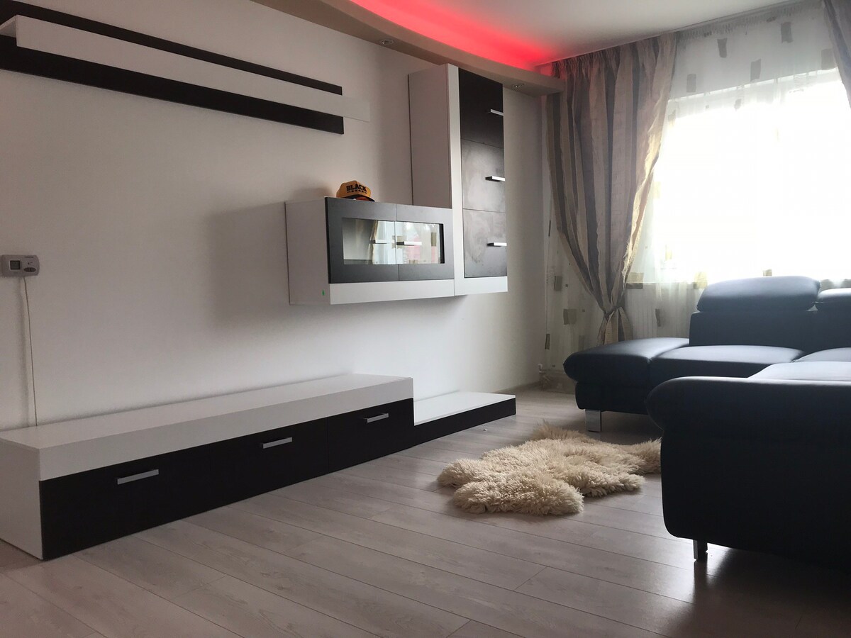 帕拉斯（ Pallas ）附近的豪华Central Apartamanet Iasi 2