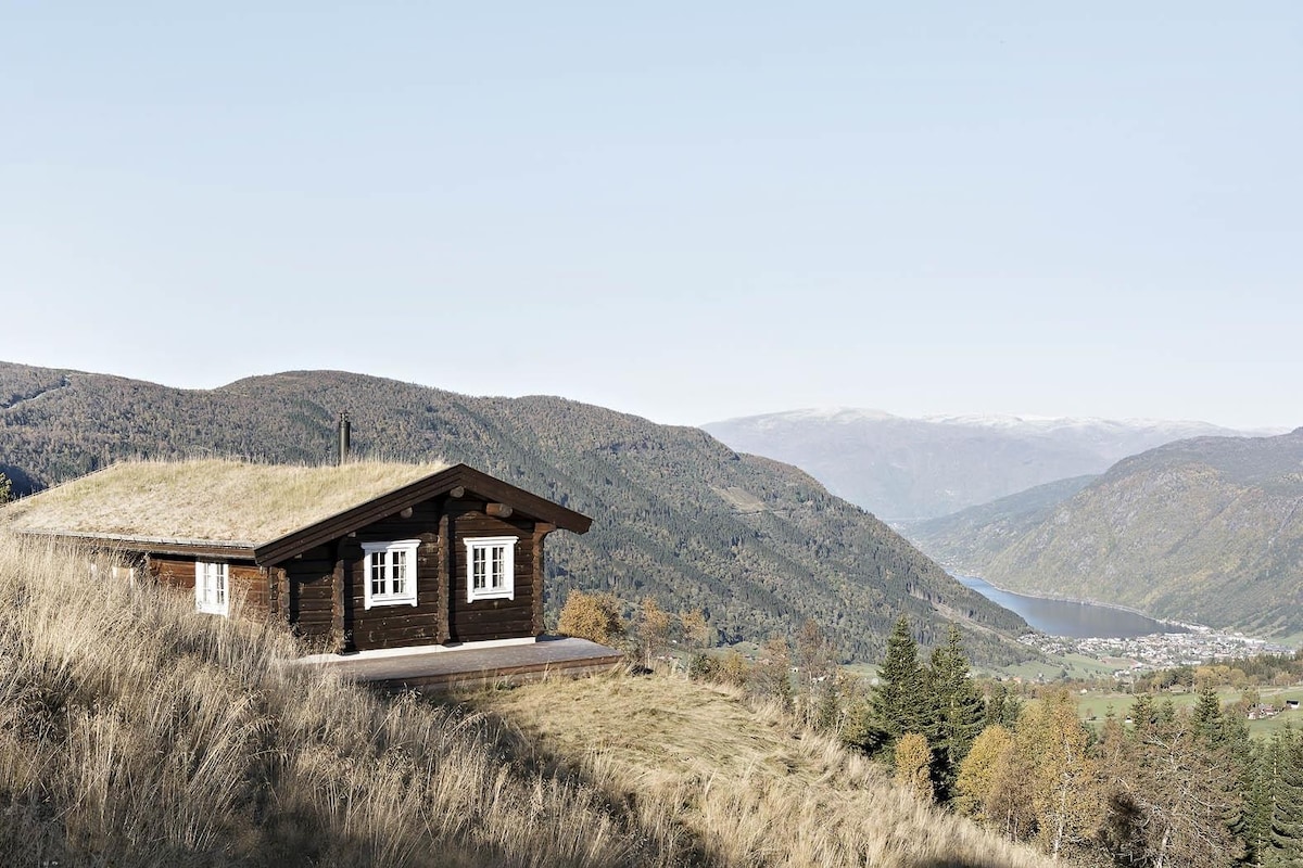 Vik i Sogn令人惊叹的景观和休闲小木屋令人惊叹