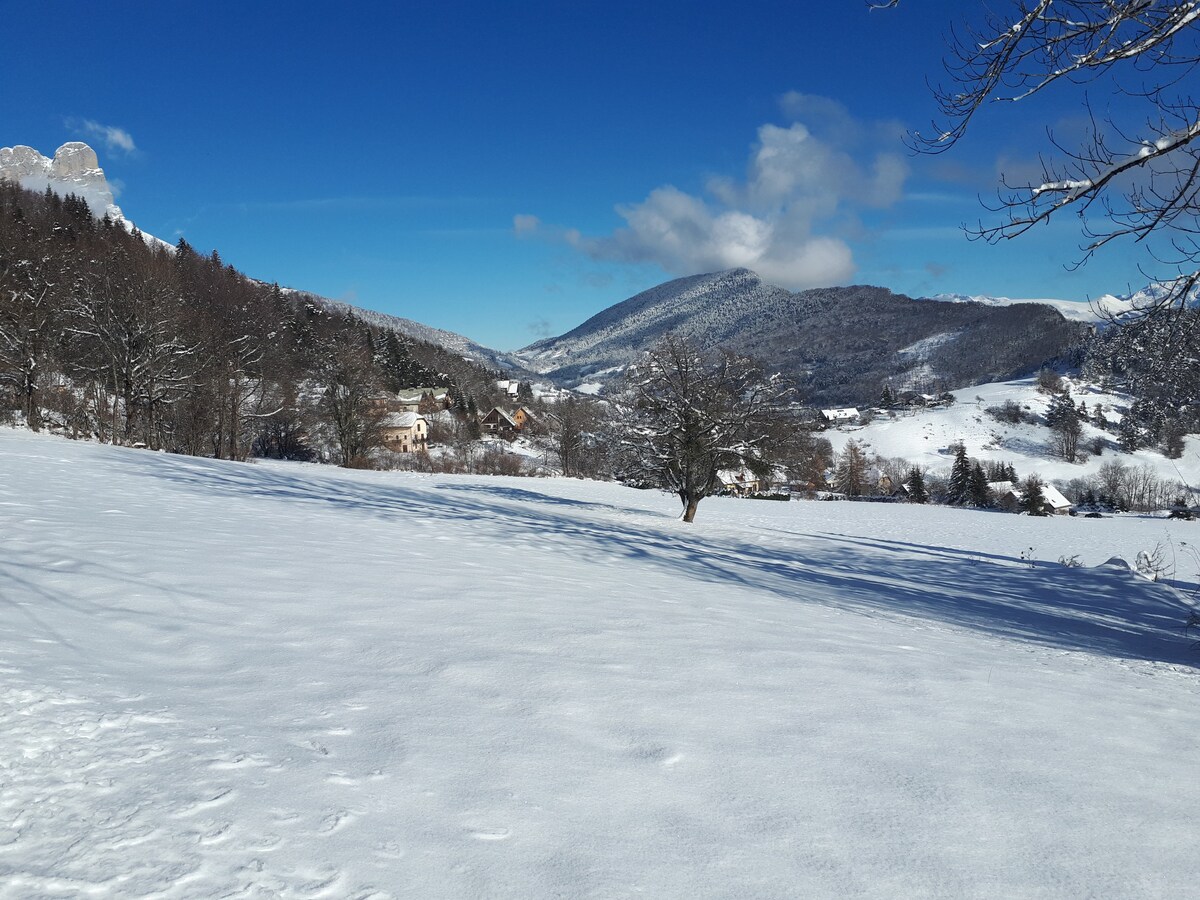 Vercors East山区生物气候房屋