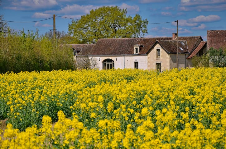 Villedieu-le-Château的民宿