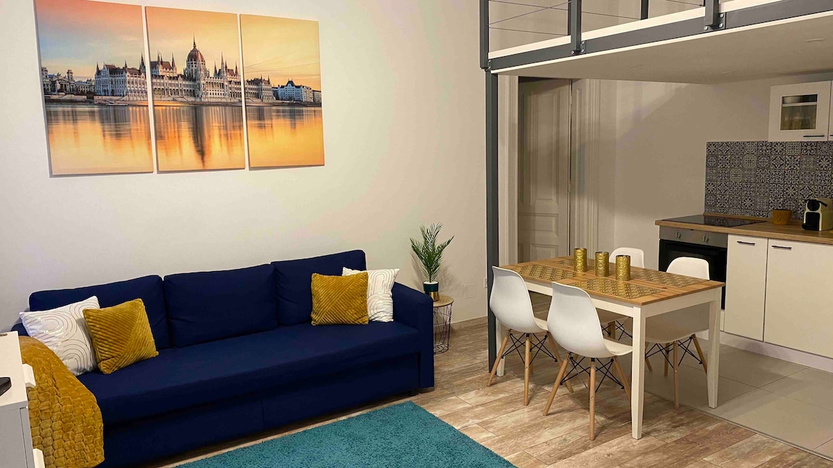 设计精良的现代化公寓，靠近多瑙河
