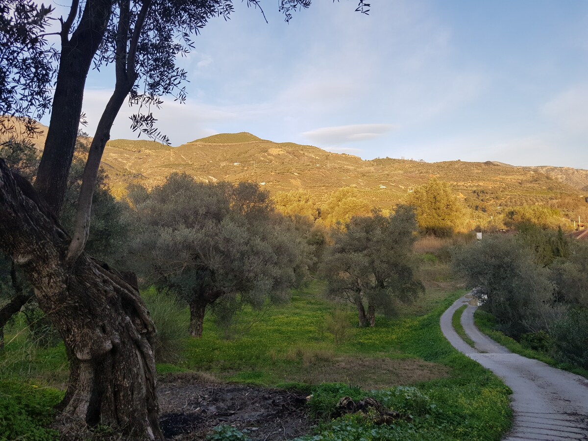 Casa Amarilla, peace & paradise in the Alpujarras