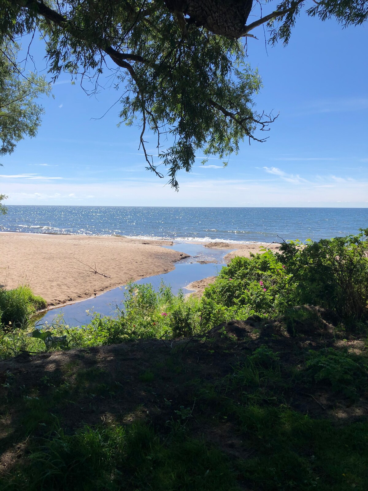 入住海滨，欣赏海景，欣赏美丽的黑色