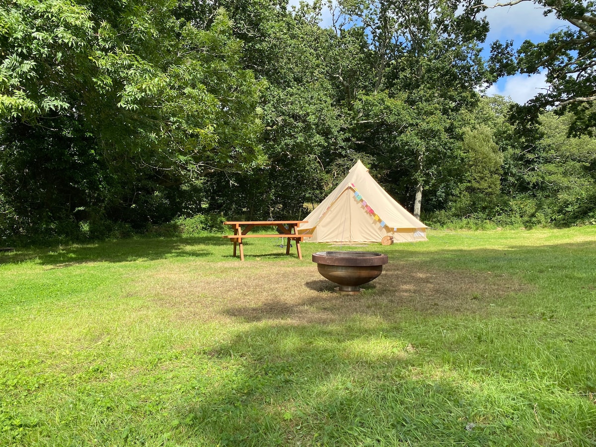 在新森林中露营僻静的钟形帐篷# 2