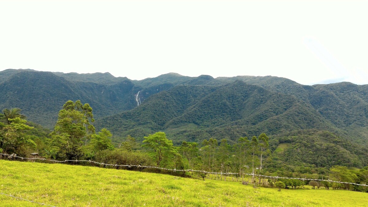 Sitio Vale Secreto - Quiriri - Joinville - SC