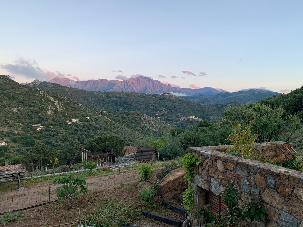 Bel appartement T3 au coeur du village de Corbara