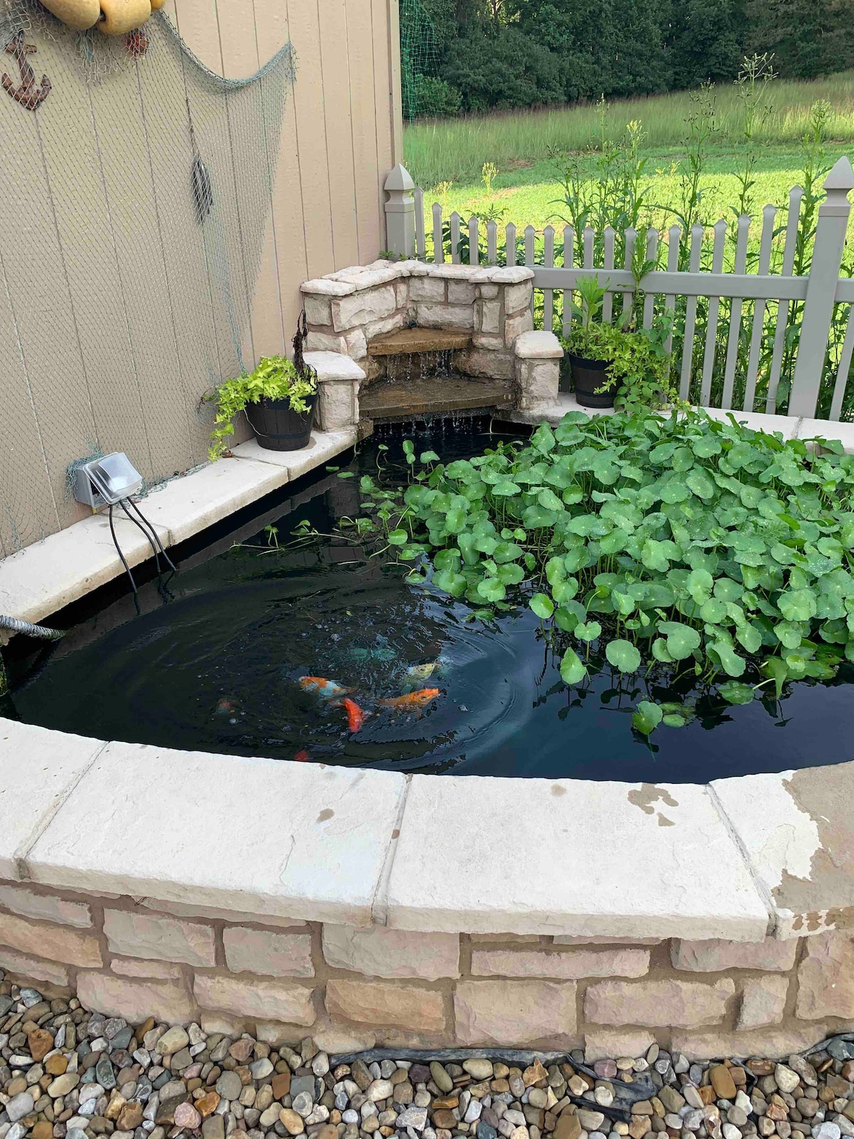 Beautiful guest house with Koi pond and wildlife