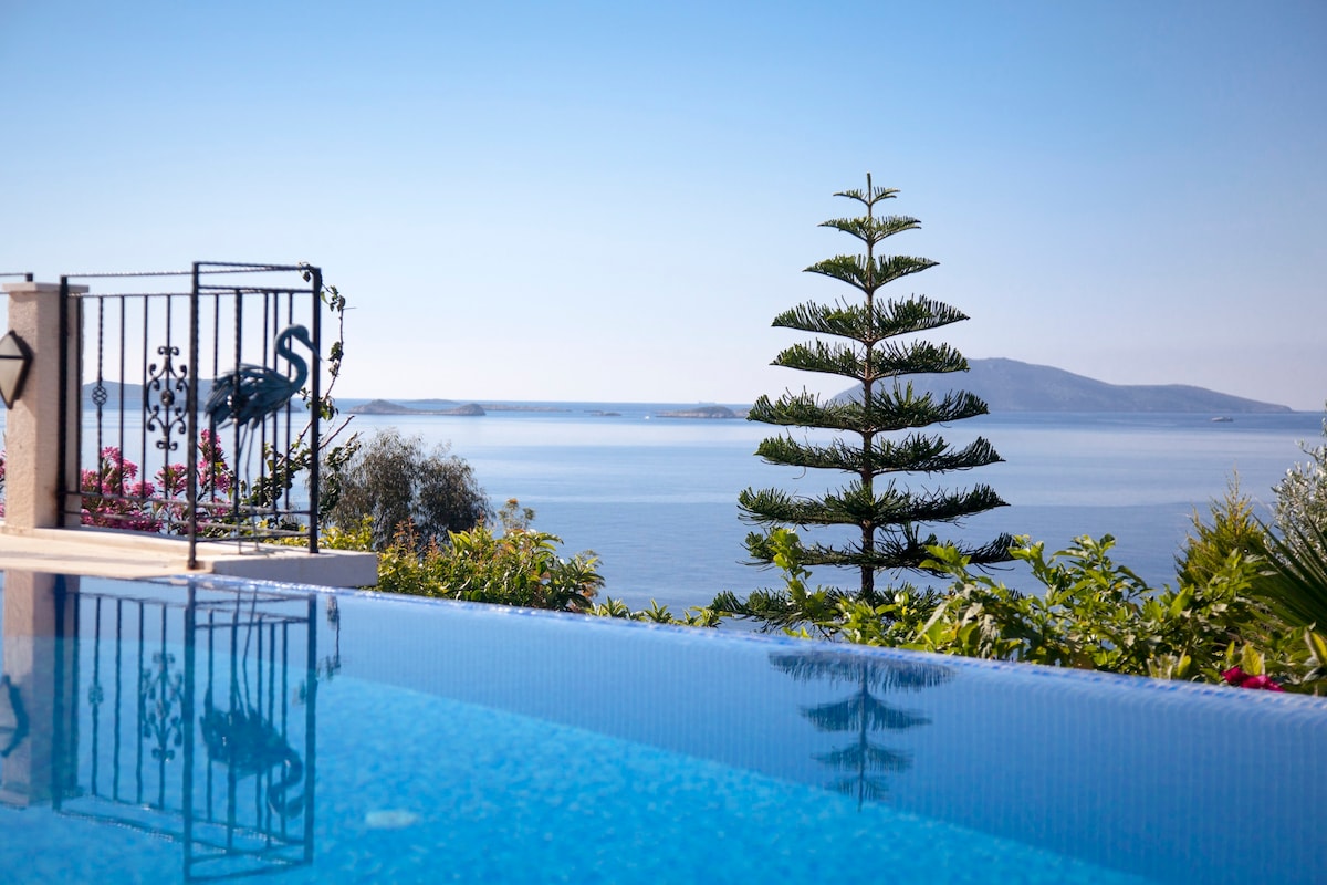 迷人的别墅，配备私人游泳池和海景景观