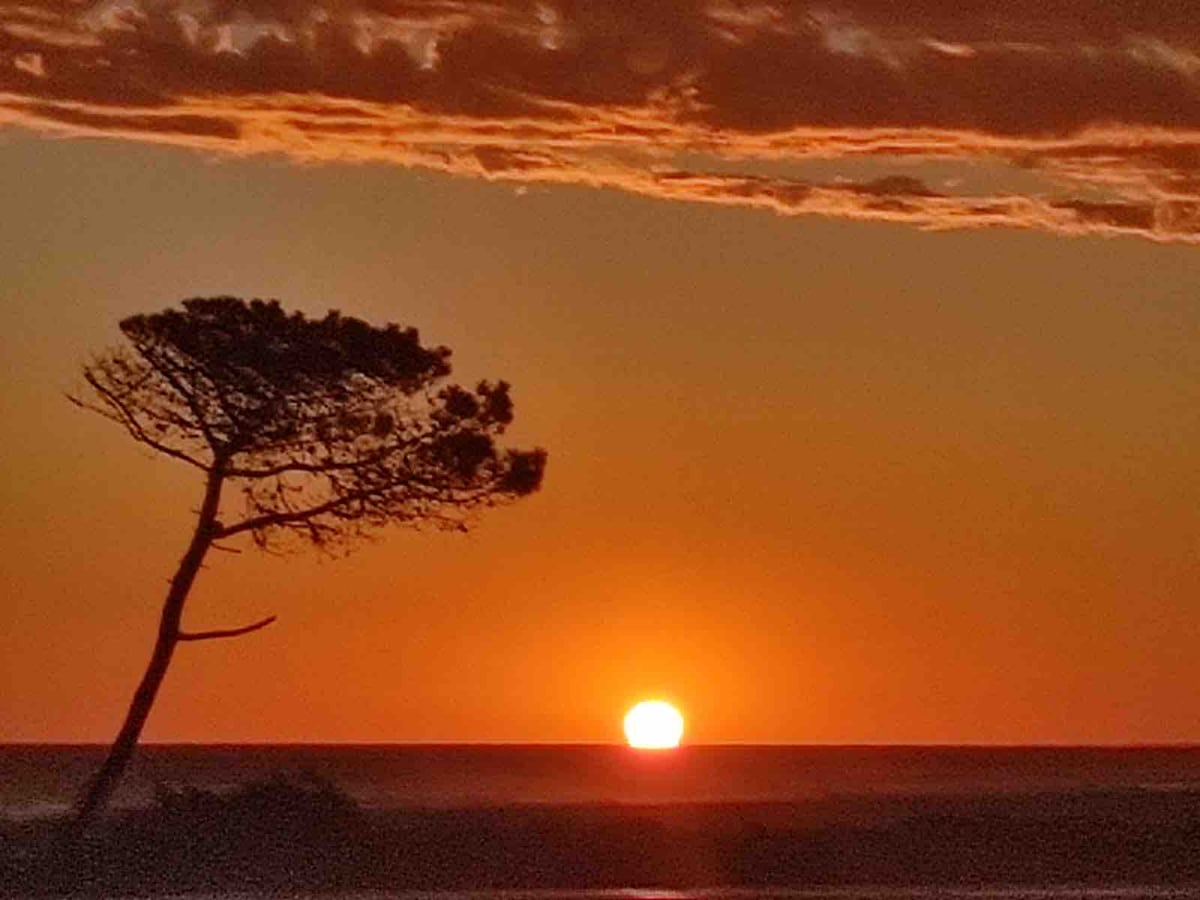 Cabaña, en medio de la naturaleza frente al mar