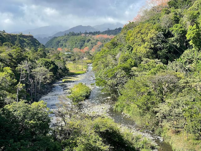 Bajo Boquete的民宿