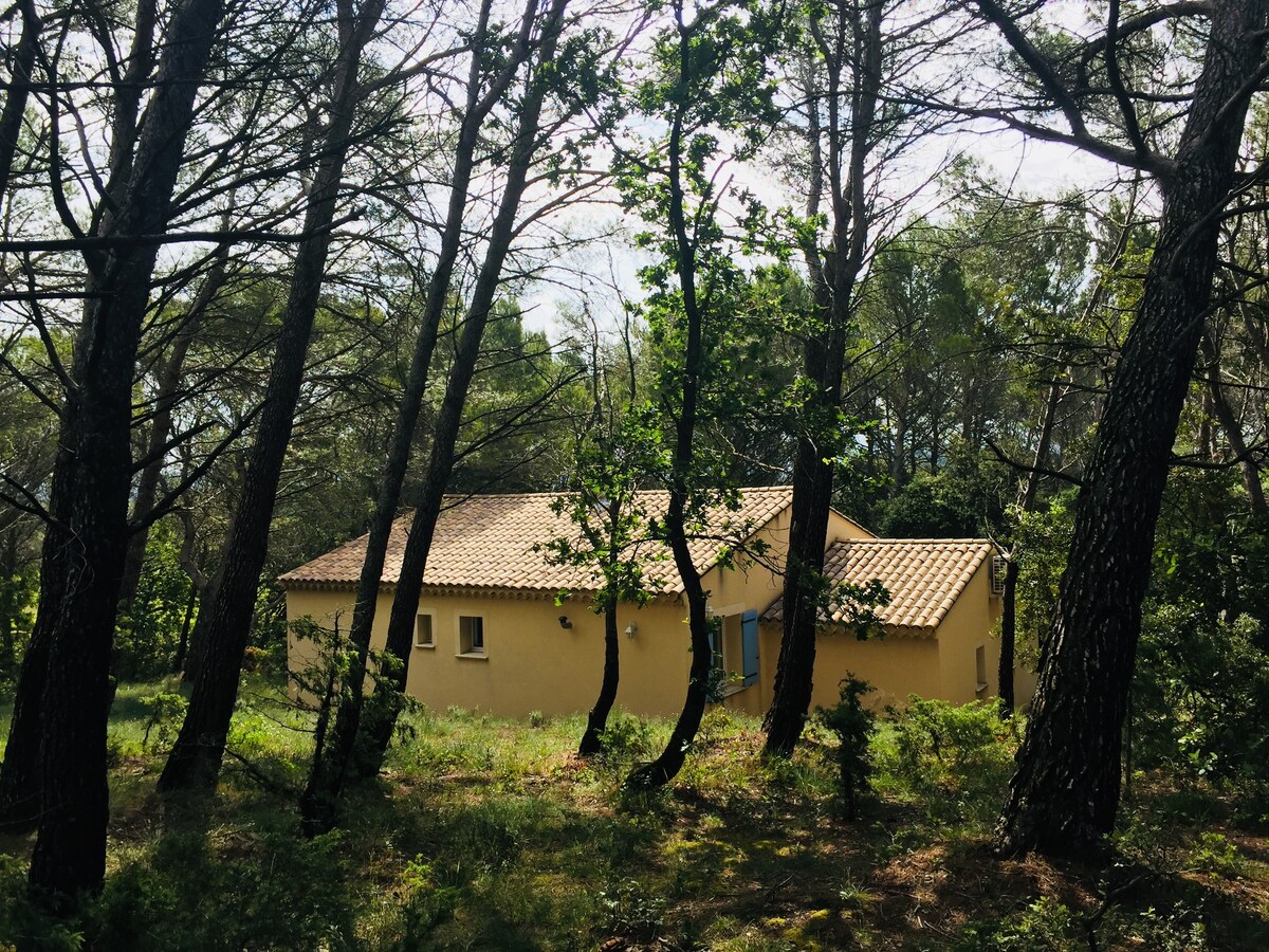 Les Cigales en Drôme Provençale