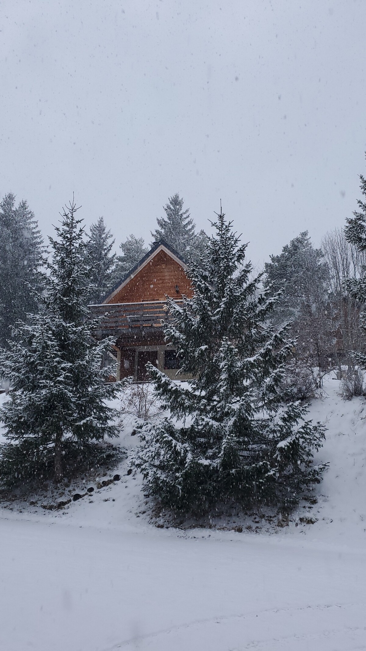 Chalet des 5 marmottes