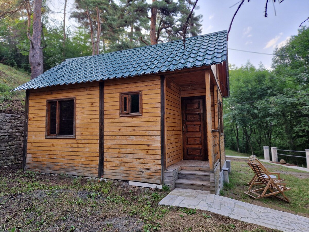 Cottage in the Forest