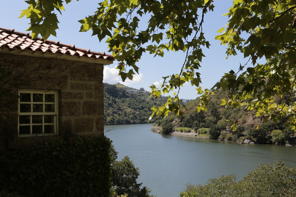 House of Figueira Velha | Resende | Douro