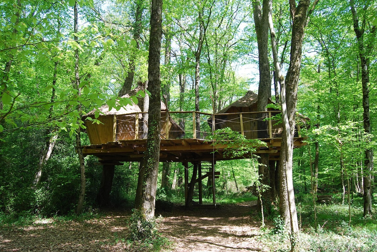 CABANE DANS LES ARBRES FAMILIALE DES CAPUCINS