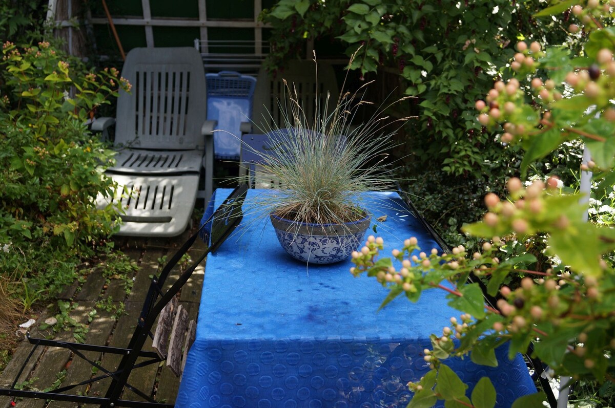 花园里的迷人小屋，靠近大海