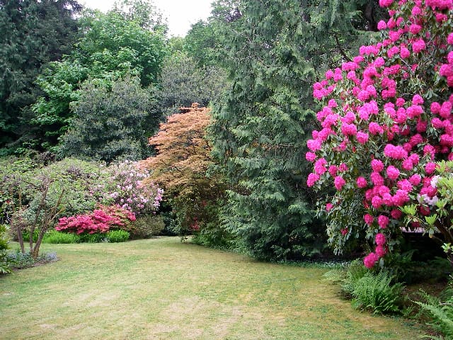 班布里奇岛(Bainbridge Island)的民宿