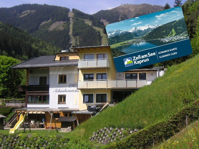 Zell am See舒适公寓