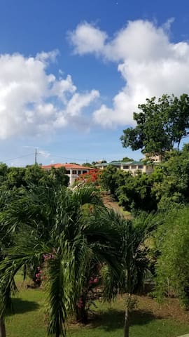 克里斯琴斯特德(Christiansted)的民宿