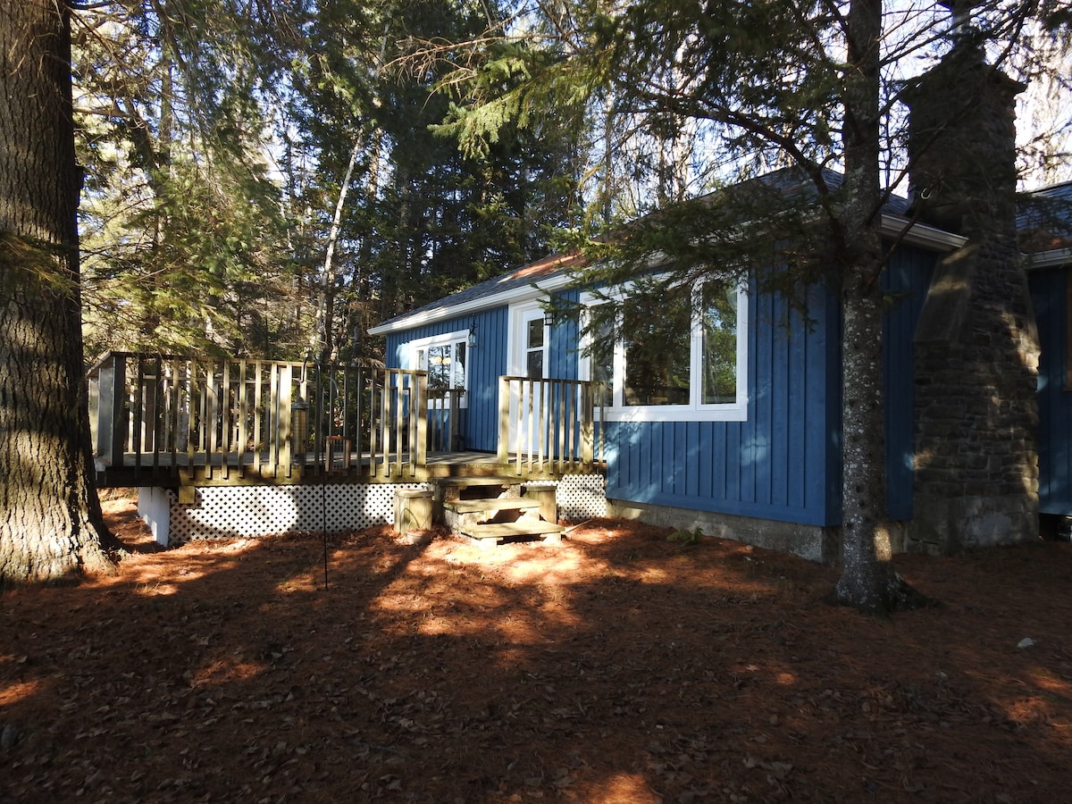 奥克斯通湖（ Oxtongue Lake ）上的舒适小木屋！