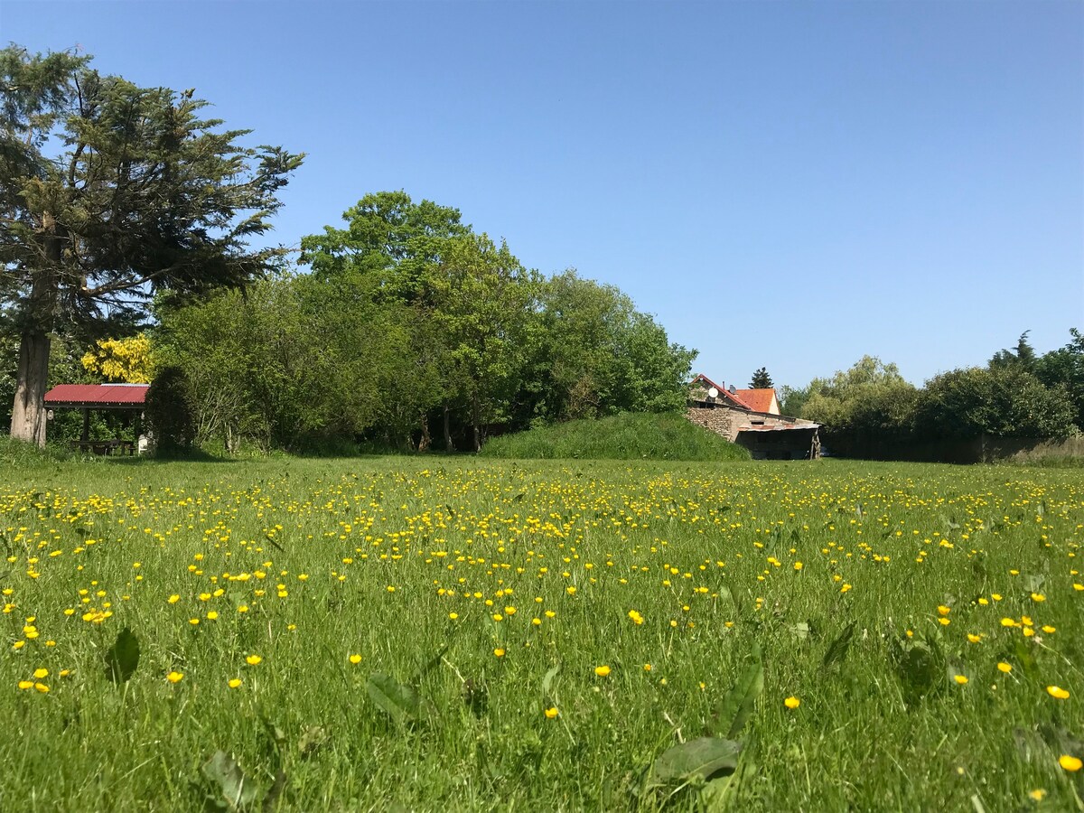 Giverny附近90平方米的生态小屋。大绿地