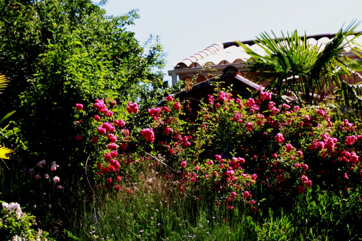 Oasis en Provence Stage ou Famille, Amis ..Ventoux