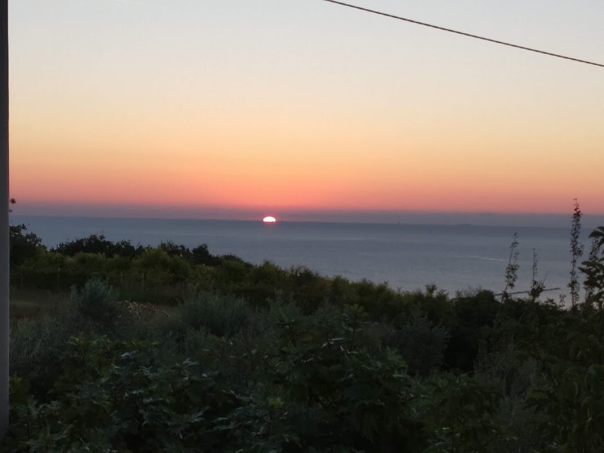 Appartamento vista mare, il giardino fra gli ulivi