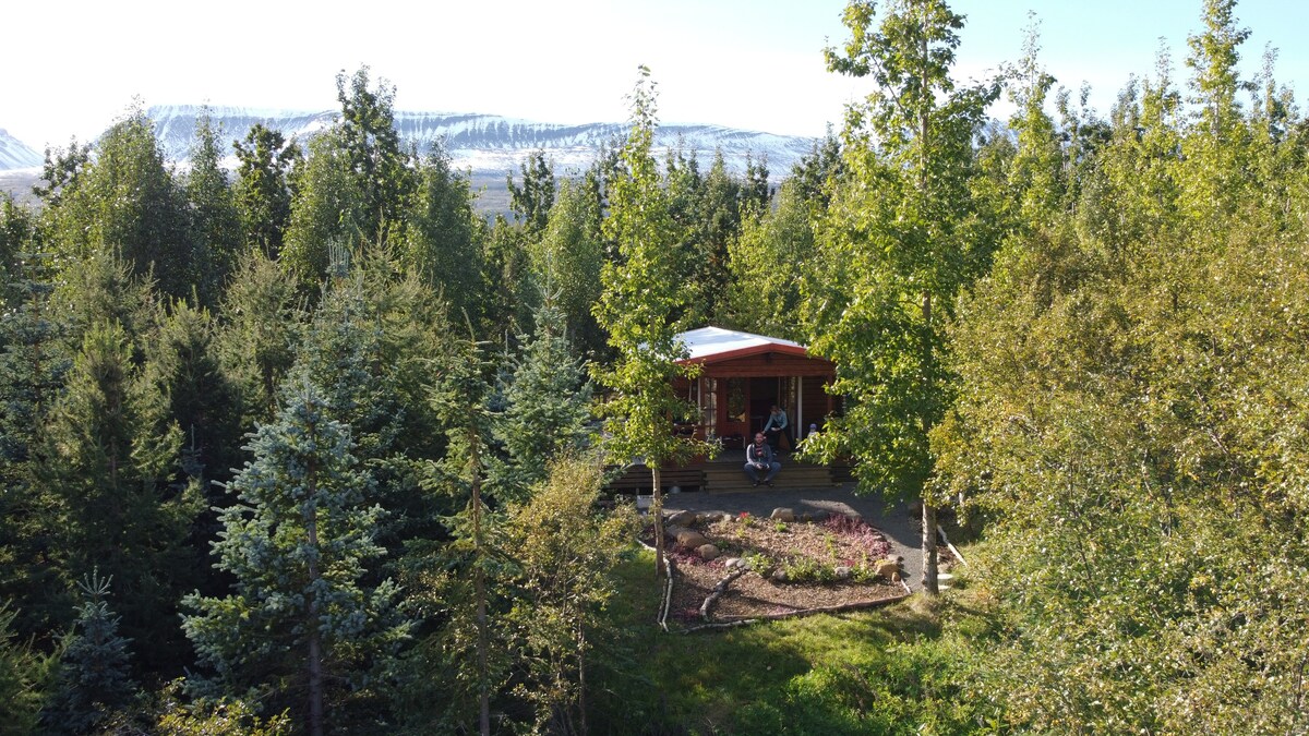 Bakkakot 1 -森林中的舒适小木屋