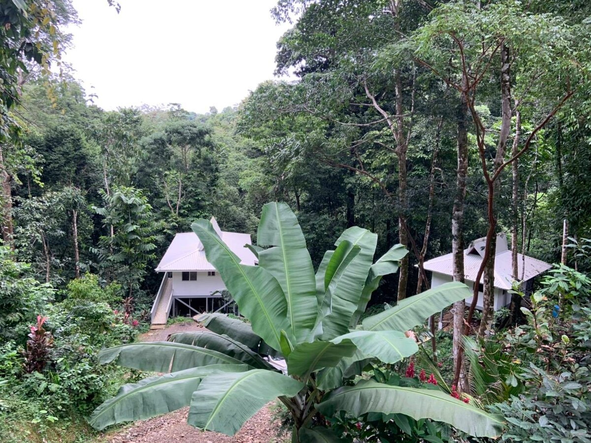 Jungle Getaway, private bungalow, natural pools