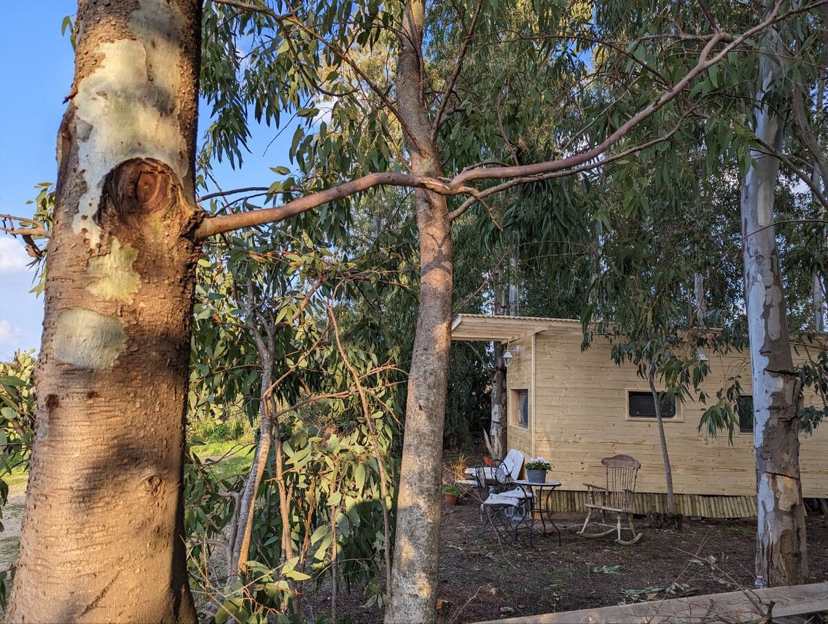 In Costa Smeralda, casetta nel bosco vicino Mare