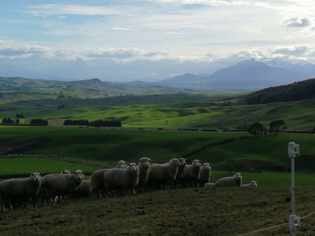 The Hitchin Rail - Eco Farmstay ，景色迷人