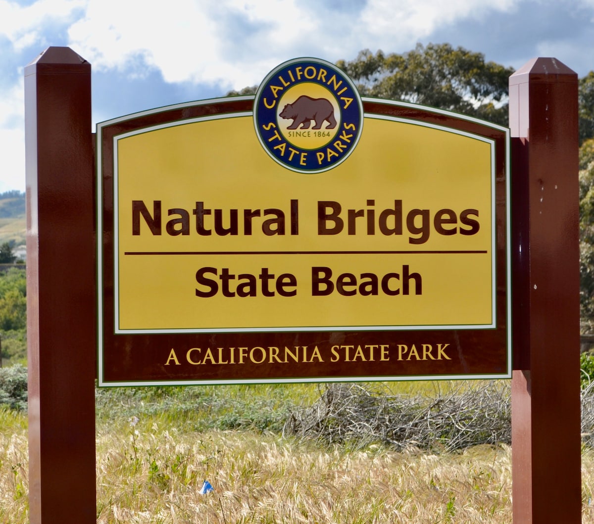 Natural Bridges Beach House- Walk to beach & cafes