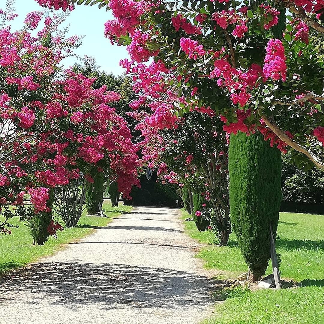 Domaine de Laballe