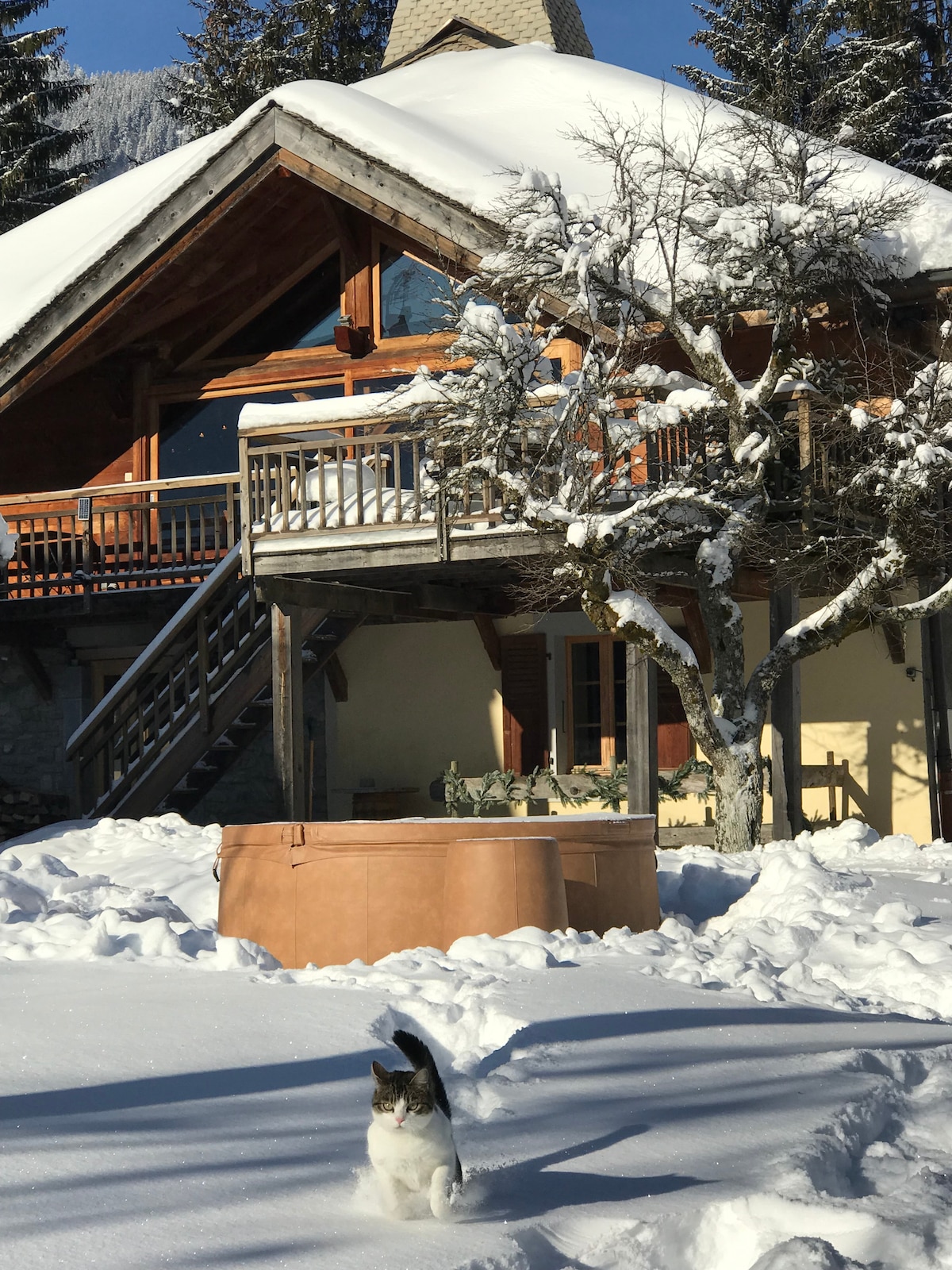 "La Grange à Tennesse" Chalet Savoyard Montriond