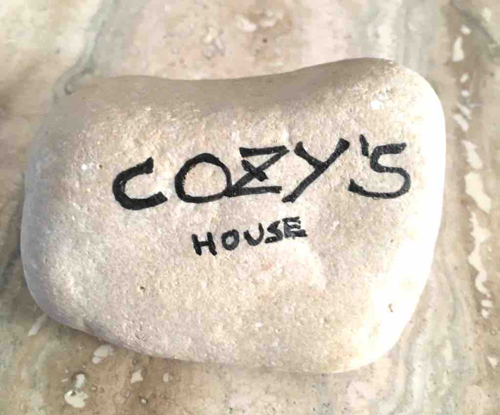 Cozy 's house CIR 19087015C203459