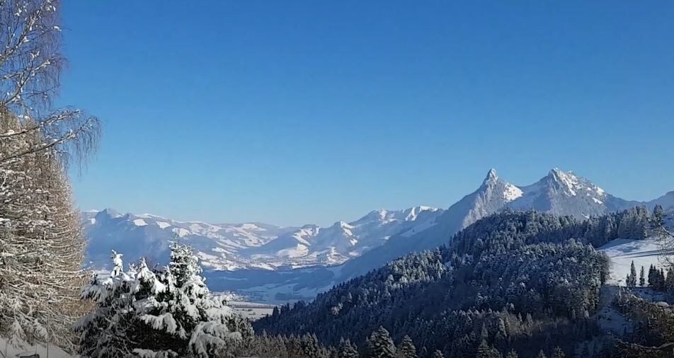 格鲁耶尔（ Gruyere ）迷人的度假木屋，可欣赏全景