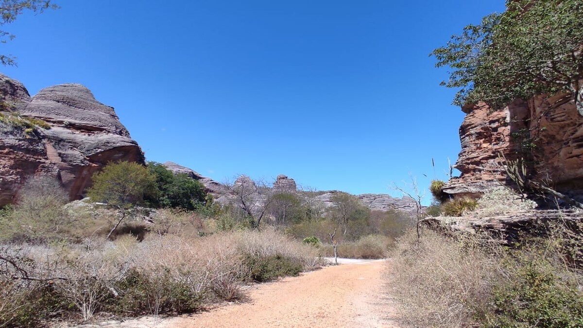 Residência Artística na Serra da Capivara 5