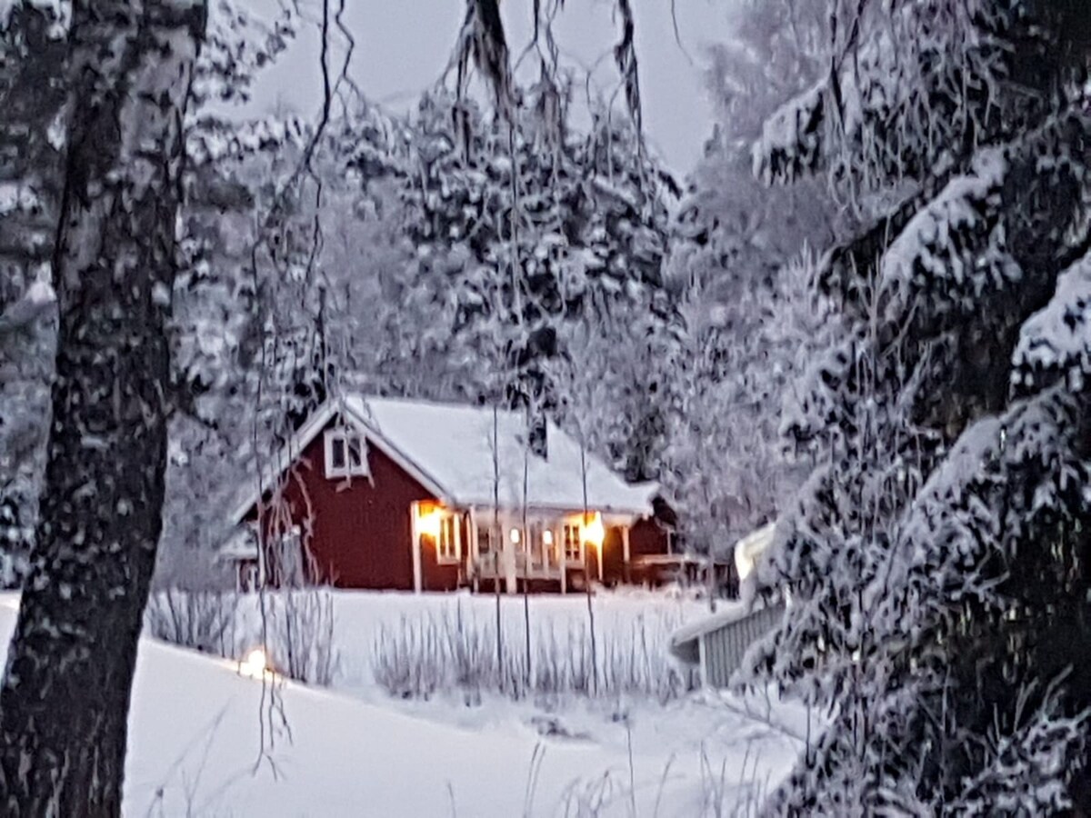 Cozy cottage in scenic environment inVärmland